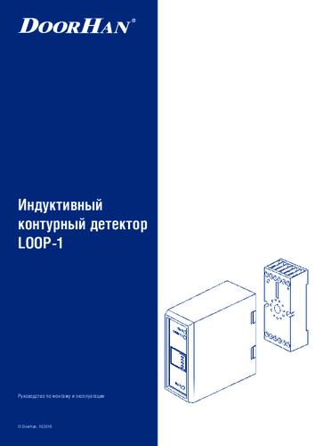 Инструкция Loop-1